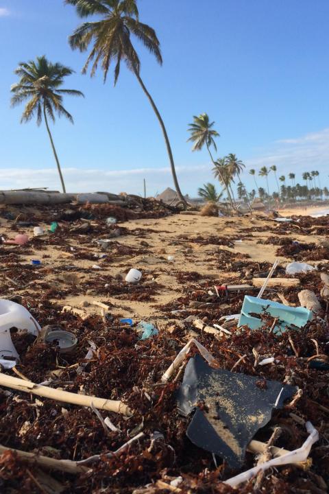 World Oceans Day